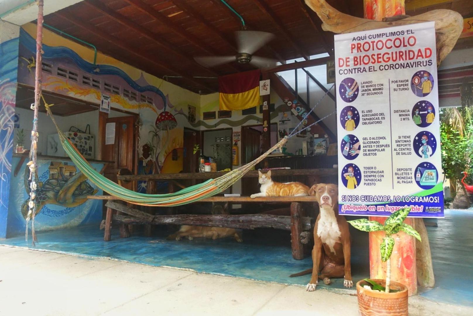 Casa Surf Mar Azul Hotell Palomino Exteriör bild